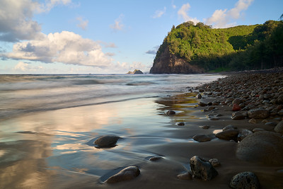 Sunny beach in Hawaii with palm trees